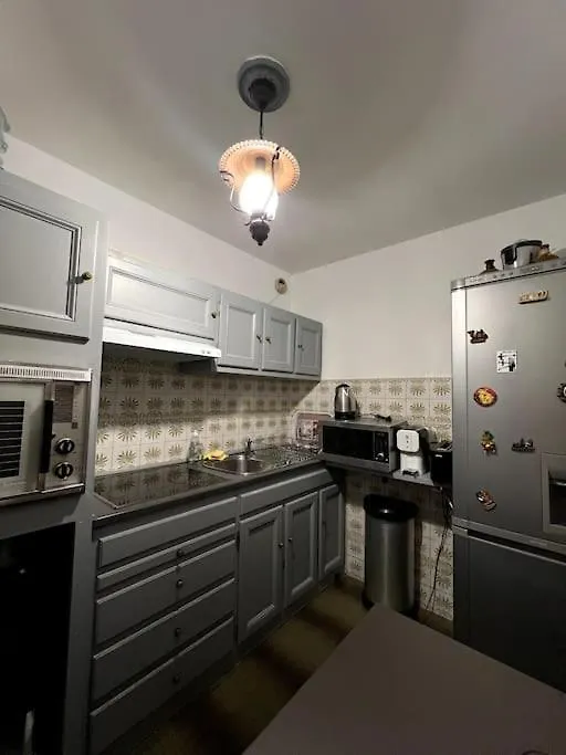 公寓 Appartement Promenade 尼斯 法国